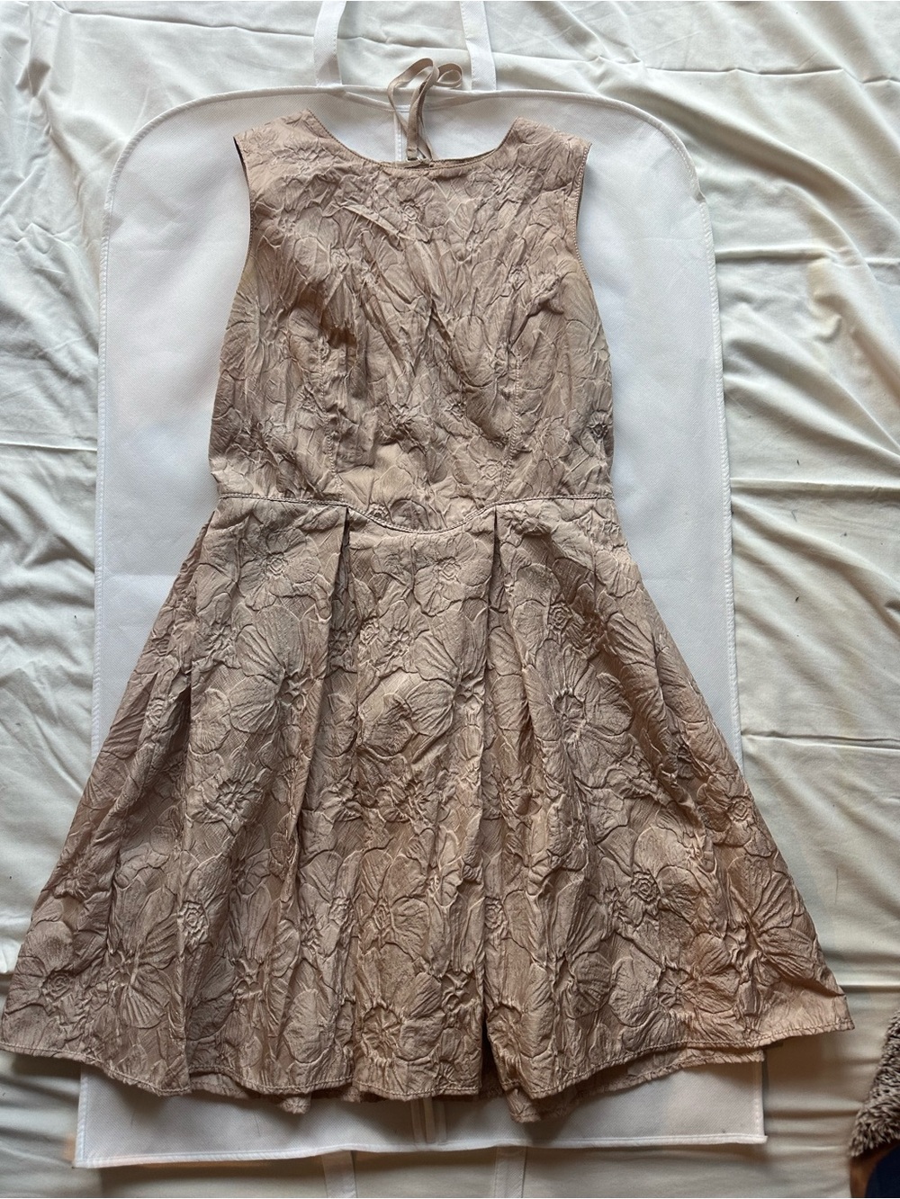 Max Studio Blush Floral Textured Fit-and-Flare Dress